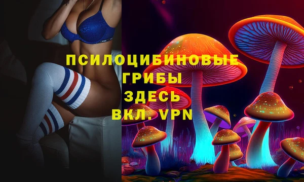 мяу мяу мука Верхнеуральск